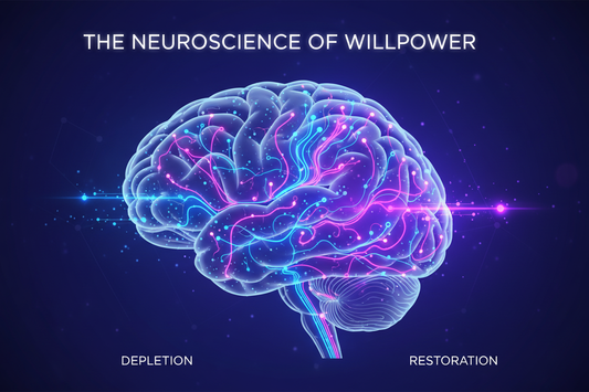 Why Willpower Fails: The Biological Reason Your Brain Can't 'Just Stop' (And the 3-Stage Protocol to Rebuild Depleted Dopamine Pathways)